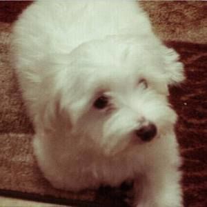 Meet your Posher, Briana